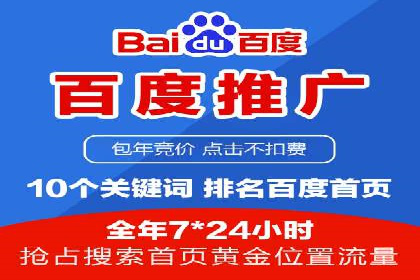 百度运营推广策略：成功案例解析